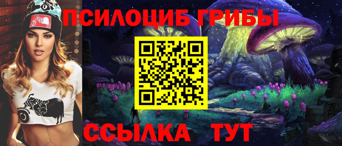 Чернушка  Галлюциногенные грибы прущие грибы  Вход с VPN 
